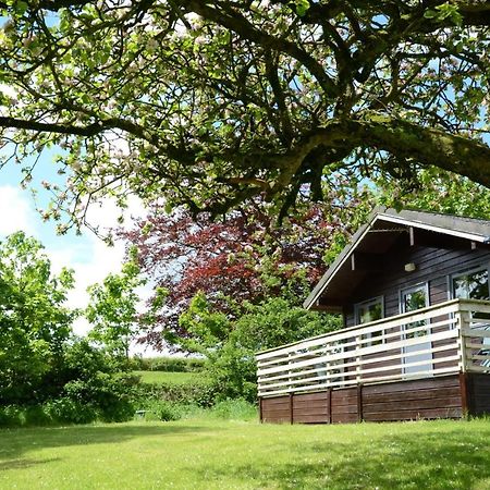 Avallon Lodges Launceston Buitenkant foto
