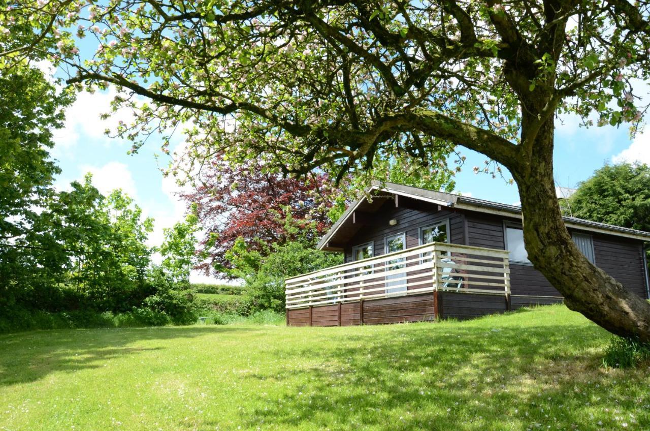 Avallon Lodges Launceston Buitenkant foto
