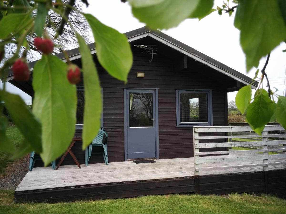 Avallon Lodges Launceston Buitenkant foto