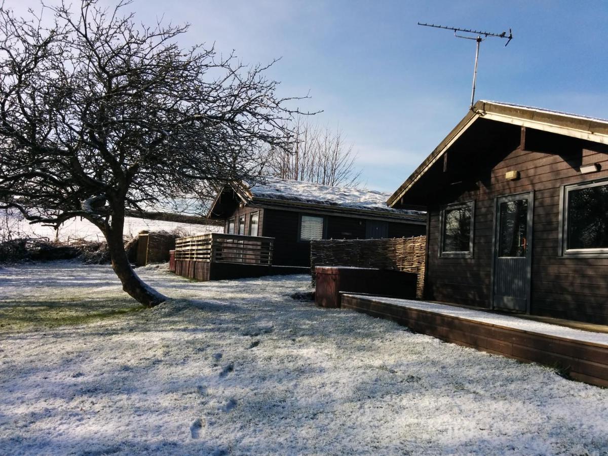 Avallon Lodges Launceston Buitenkant foto