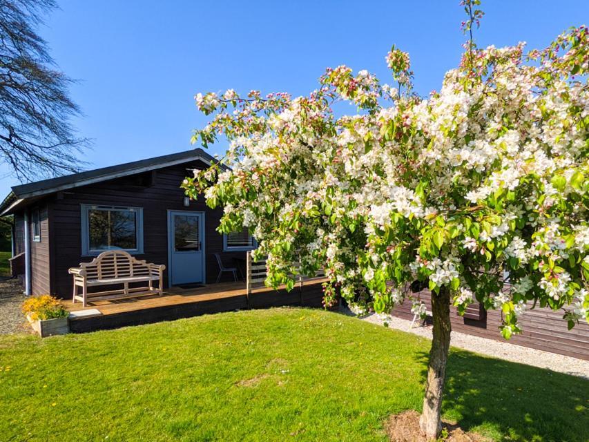 Avallon Lodges Launceston Buitenkant foto